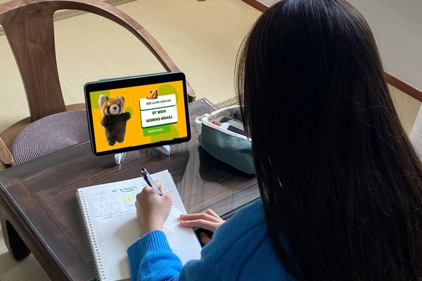 RPL Flexi Online Chinesisch Lernen